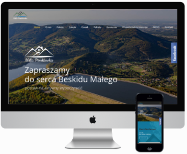 Budowanie profesjonalnych stron internetowych